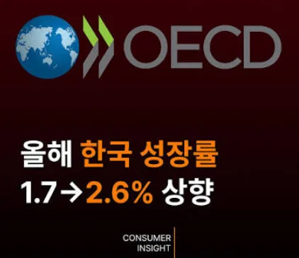 OECD 2026 한국경제 보고서 총정리