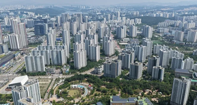 동탄·기흥·구리, 규제지역 지정…대출 줄고 갭투자 막힌다
