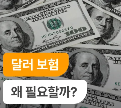 원달러 보험이란? 가입해야 하나?