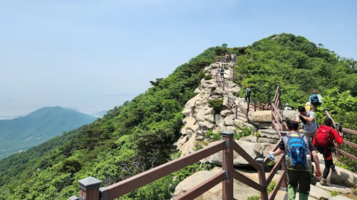 무더위 속 심장 지키는 '생맥산'의 비밀