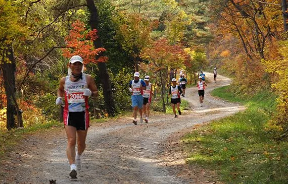 전국 국립공원 산악마라톤(트레일러닝) 대회 금지 확산