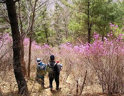 운동 효과 2배 높이는 올바른 등산 하산법