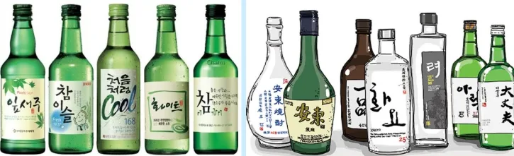소주 종류별 특징 총정리 | 참이슬·처음처럼·증류식 소주 비교