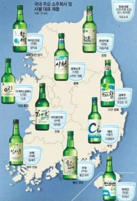 지역별 소주 점유율과 인기 소주 | 부산·경남·광주·제주 브랜드 비교