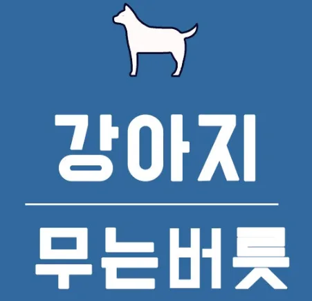 반려견 입질 교정 가이드