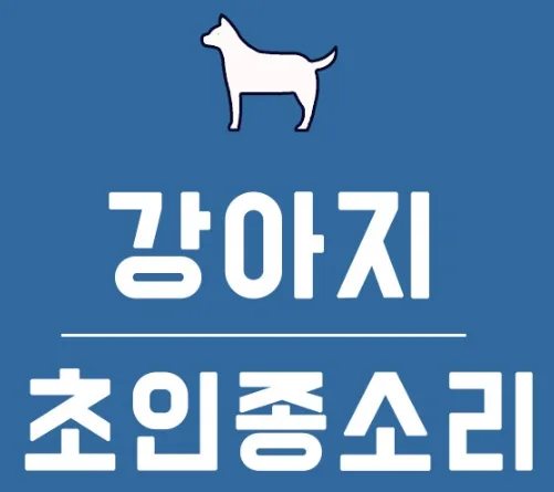 강아지 초인종 소리에 짖는 이유 3가지와 완벽 해결 방법 (훈련 꿀팁)