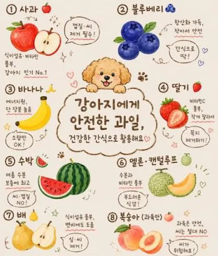 강아지에게 좋은 과일 7가지와 그 이유 (수의사 추천 급여 가이드)