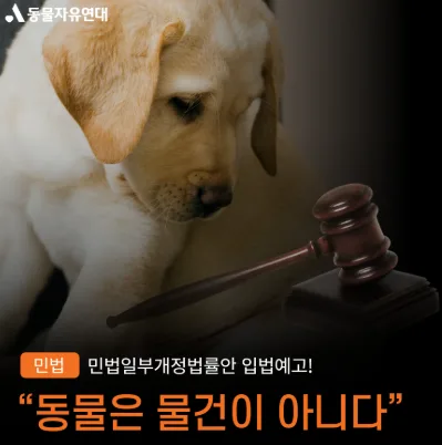 [반려동물 법 개정] "동물은 물건이 아니다!"