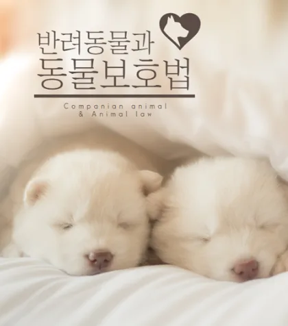 대한민국 동물보호법 총정리