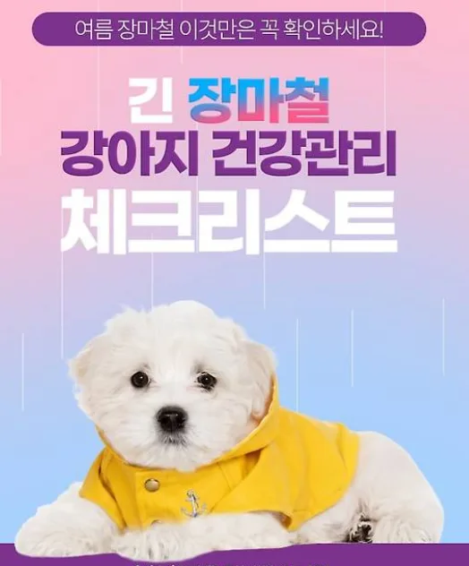장마철 강아지 피부 관리법