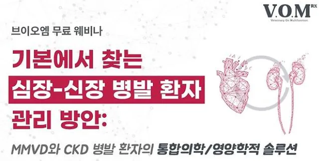 노령견 심장병·신장병 동시 발병 시 대처법