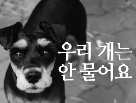 [반려견 에티켓] "우리 개는 안 물어요"가 이웃에게 폭력인 이유