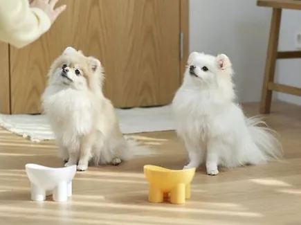 여름철 반려동물 사료 올바른 보관법