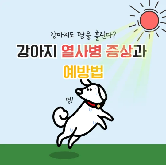 반려견도 열사병을 예방해야 한다