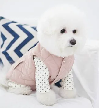 증상 없는 반려견 간암, 정기검진이 살렸다 | 11살 노령견 간세포암 완치 사례