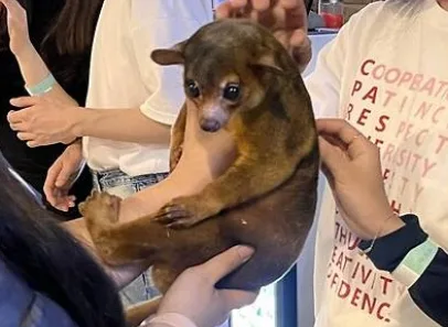 야생동물 유기하면 벌금 1천만원? '끝까지 책임 2법' 핵심 정리
